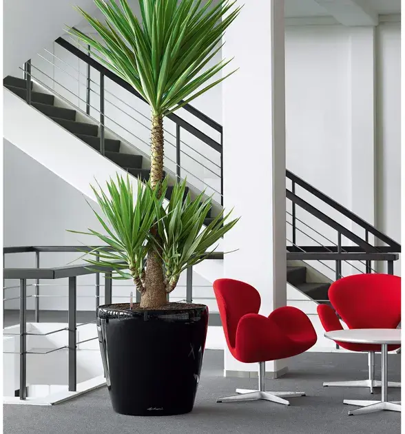 Вазон Lechuza CLASSICO Premium 60, All-in-One, d60xh56 білий 14560 - фото - №4