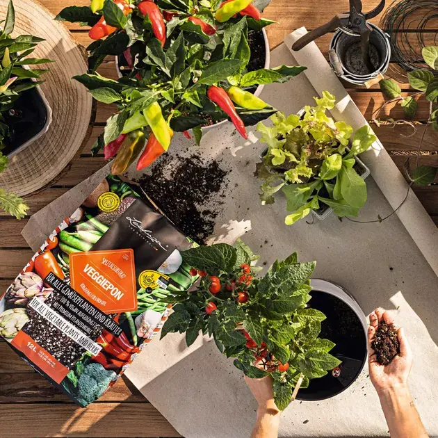 Субстрат Lechuza для овочів VEGGIE-PON 12 л 19592 - фото - №1