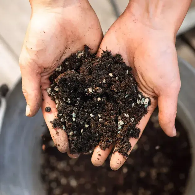 Субстрат Lechuza для овочів VEGGIE-PON 12 л 19592 - фото - №2