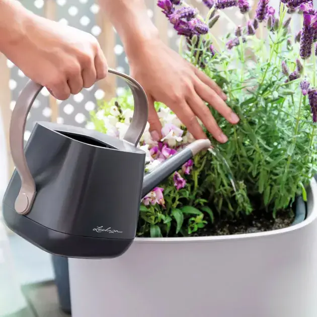 Субстрат Lechuza для овочів VEGGIE-PON 12 л 19592 - фото - №3