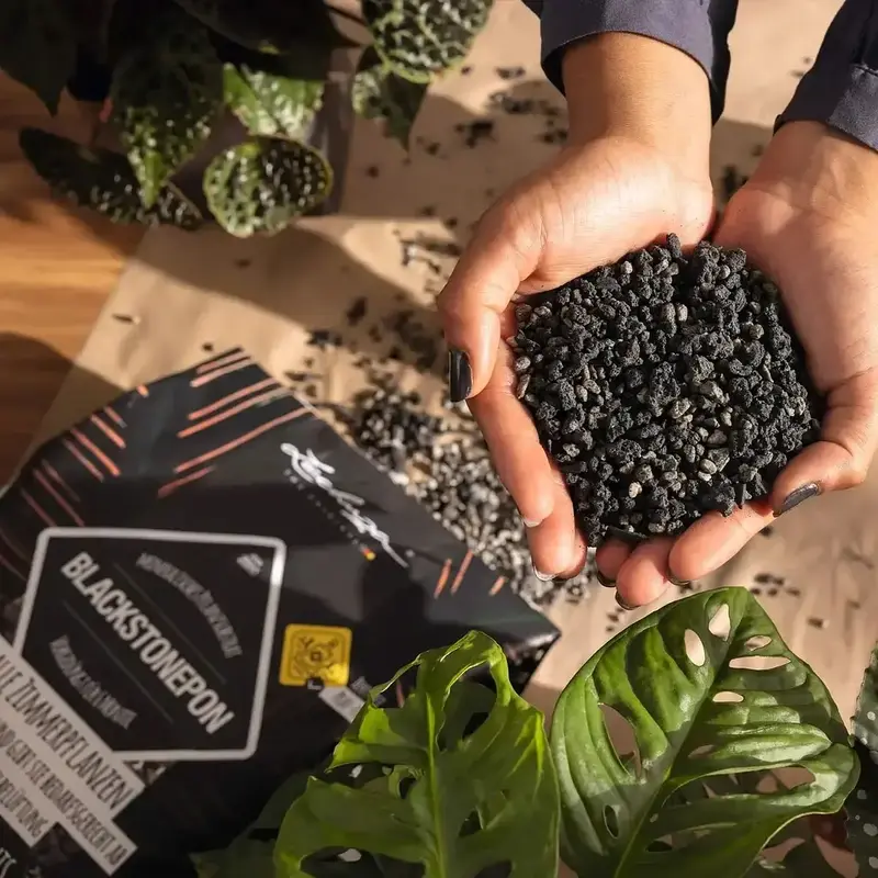 Субстрат Lechuza з біовугіллям BLACKSTONE PON 12 л 19556 - фото - №3