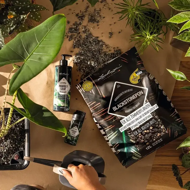 Субстрат Lechuza з біовугіллям BLACKSTONE PON 12 л 19556 - фото - №1