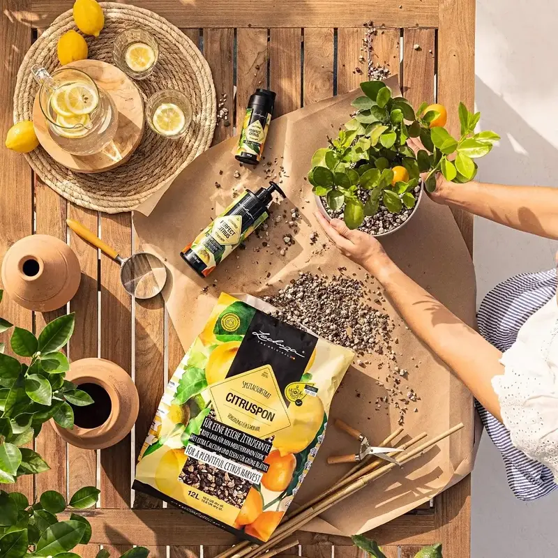 Субстрат Lechuza для цитрусових Citrus PON 12 л 19540 - фото - №4