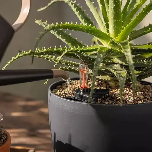 Субстрат Lechuza Basic PON 6 л 19551 - фото - №3