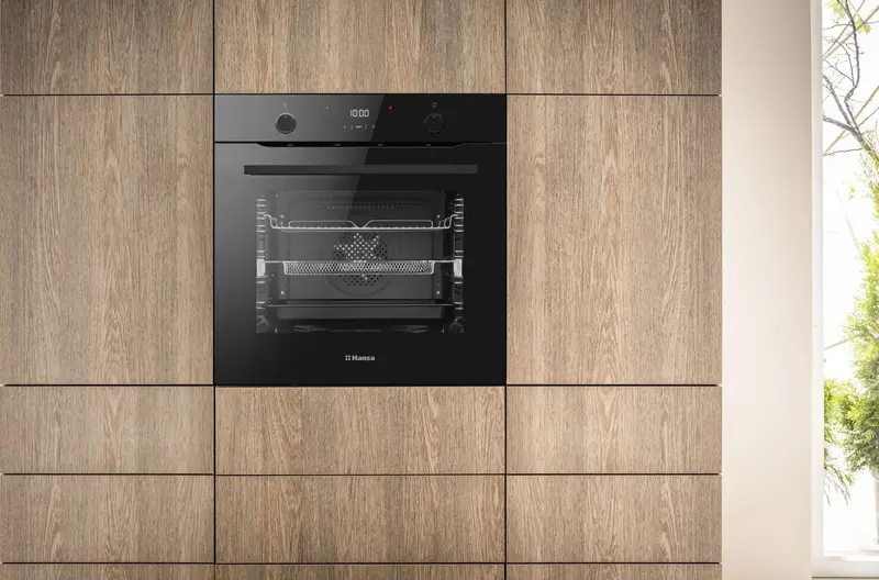 Духова шафа електрична вбудована HANSA BOES 68422 - фото - №1