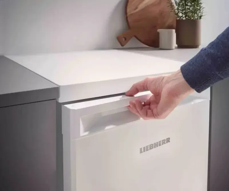 Холодильник Liebherr RE1201 - фото - №6