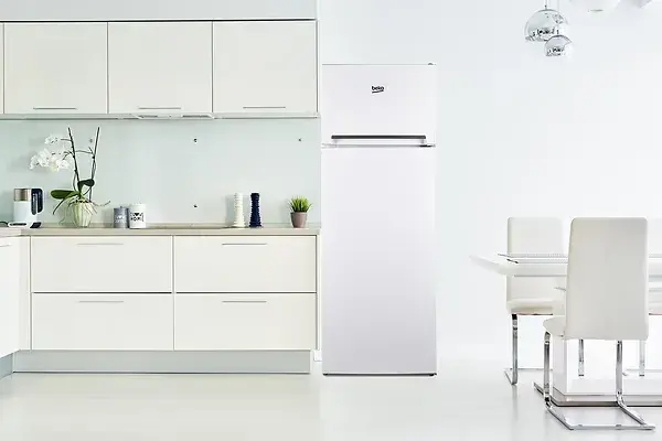 Двокамерний холодильник BEKO RDSA240K20W - фото - №5