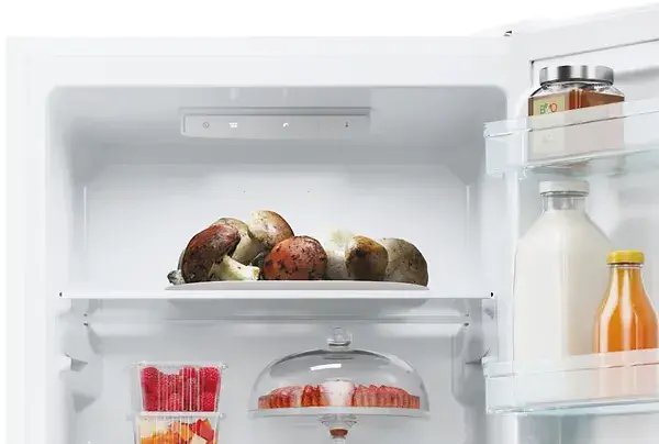 Холодильник Candy CCT3L517EW - фото - №10