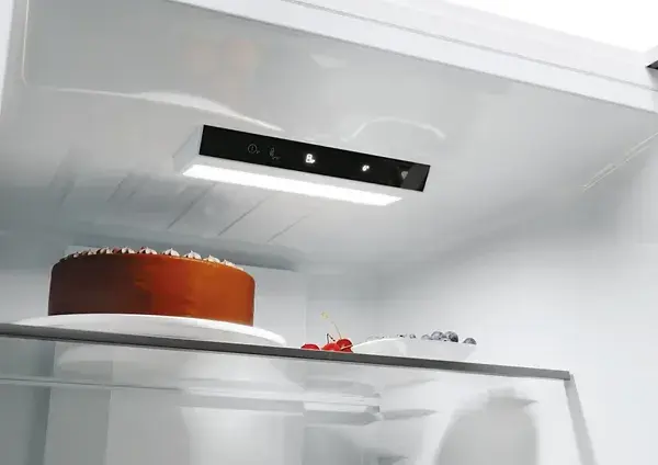 Холодильник Candy CNCQ2T620EW - фото - №6