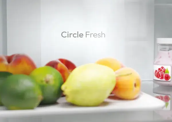 Холодильник Candy CNCQ2T620EW - фото - №11