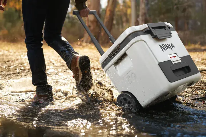 Термобокс Ninja FrostVault 28L Hard Coole FB230EUWH. Купити