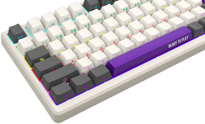 Ігрова клавіатура Lorgar KBP70MW Pro Wireless Mechanical EN/UA Beige - фото - №4