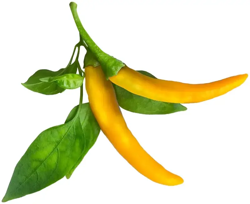 Змінний картридж Click and Grow Жовтий перець чілі 9186 - фото - №1