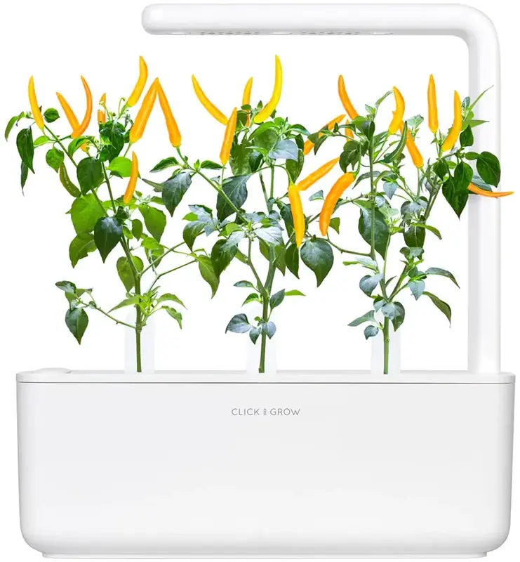 Змінний картридж Click and Grow Жовтий перець чілі 9186 - фото - №3