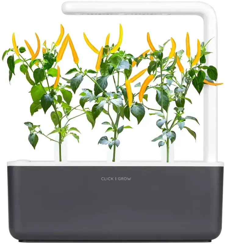 Змінний картридж Click and Grow Жовтий перець чілі 9186 - фото - №4