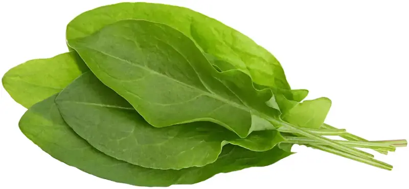 Змінний картридж Click and Grow Зелений щавель 9001 - фото - №1