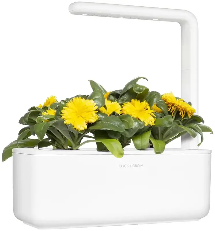 Змінний картридж Click and Grow Календула 3160 - фото - №4