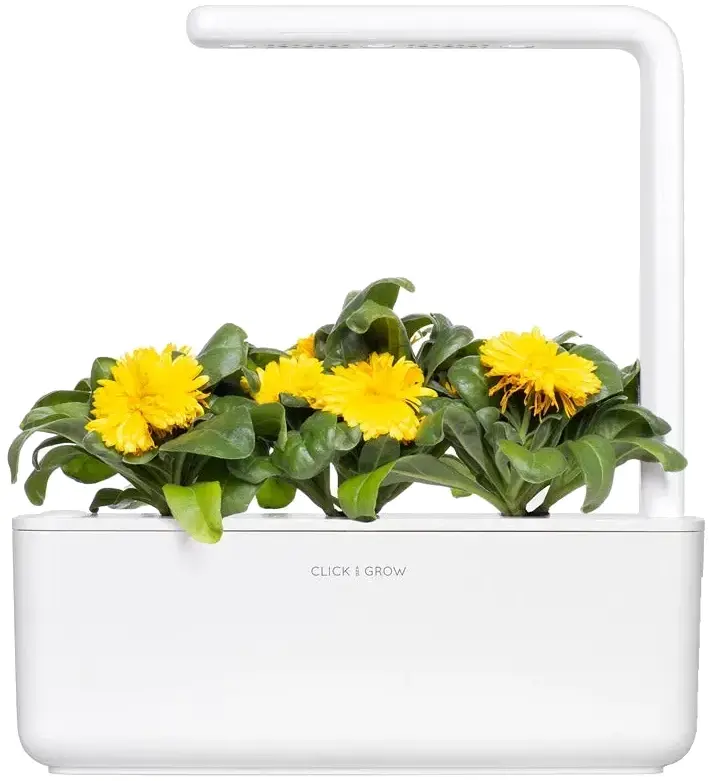 Змінний картридж Click and Grow Календула 3160 - фото - №3