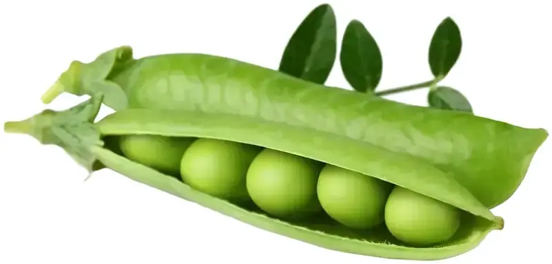 Змінний картридж Click and Grow Карликовий горошок 8998 - фото - №1