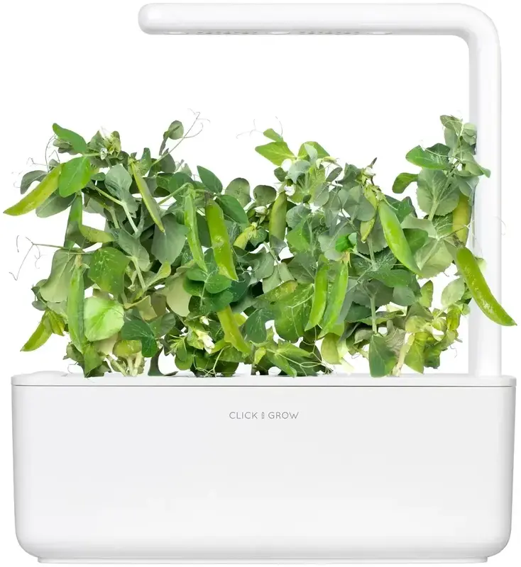 Змінний картридж Click and Grow Карликовий горошок 8998 - фото - №3