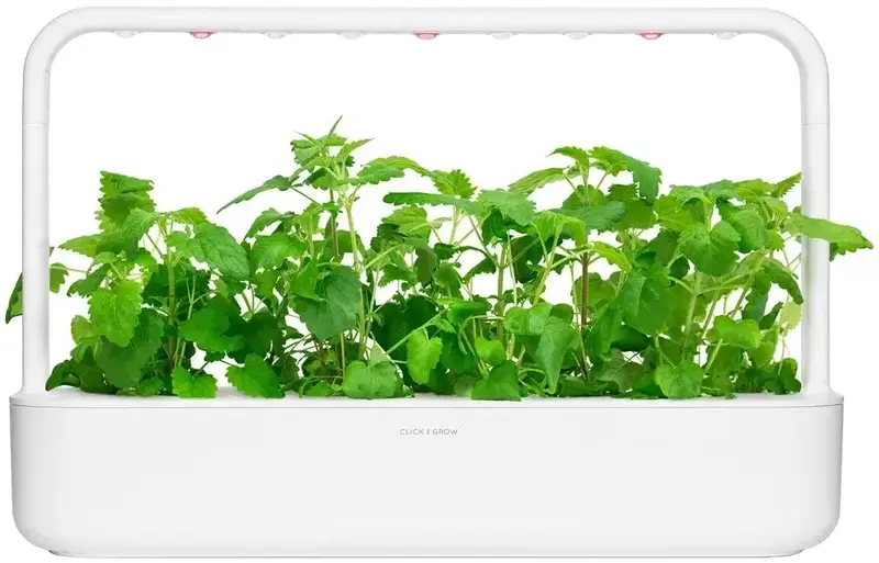 Змінний картридж Click and Grow Котяча м'ята 7465 - фото - №4