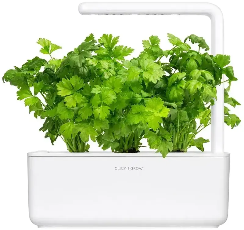 Змінний картридж Click and Grow Листова селера 3948 - фото - №1