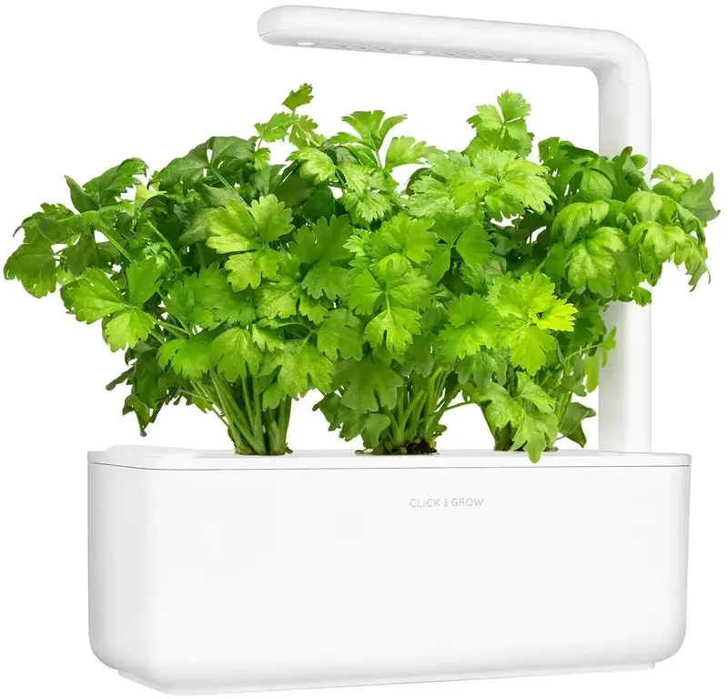 Змінний картридж Click and Grow Листова селера 3948 - фото - №2