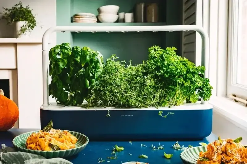 Змінний картридж Click and Grow Листова селера 3948 - фото - №3