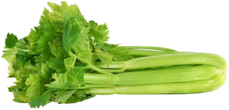 Змінний картридж Click and Grow Листова селера 3948 - фото - №4