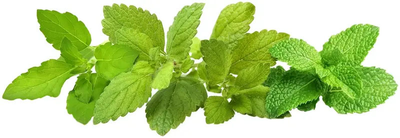 Змінний картридж Click and Grow Заспокійливий чай мікс 2507 - фото - №0