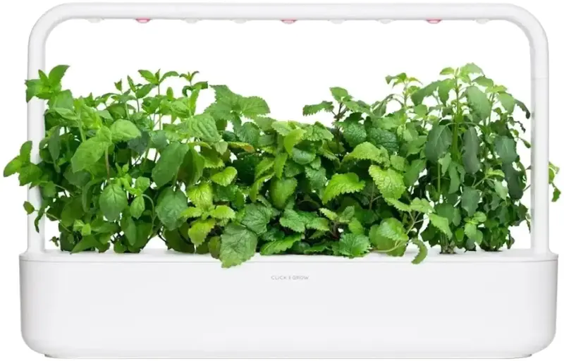 Змінний картридж Click and Grow Заспокійливий чай мікс 2507 - фото - №2