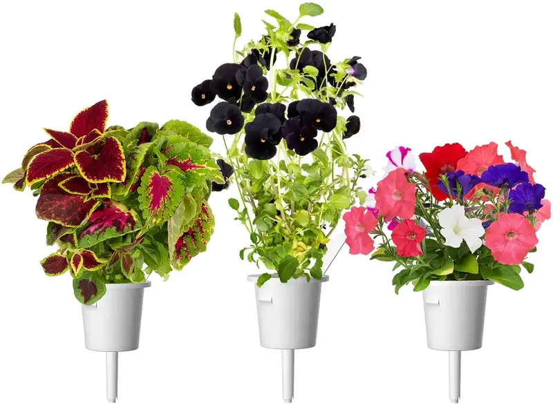 Сменный картридж Click and Grow Яркий цветочный микс 2439 - фото - №2