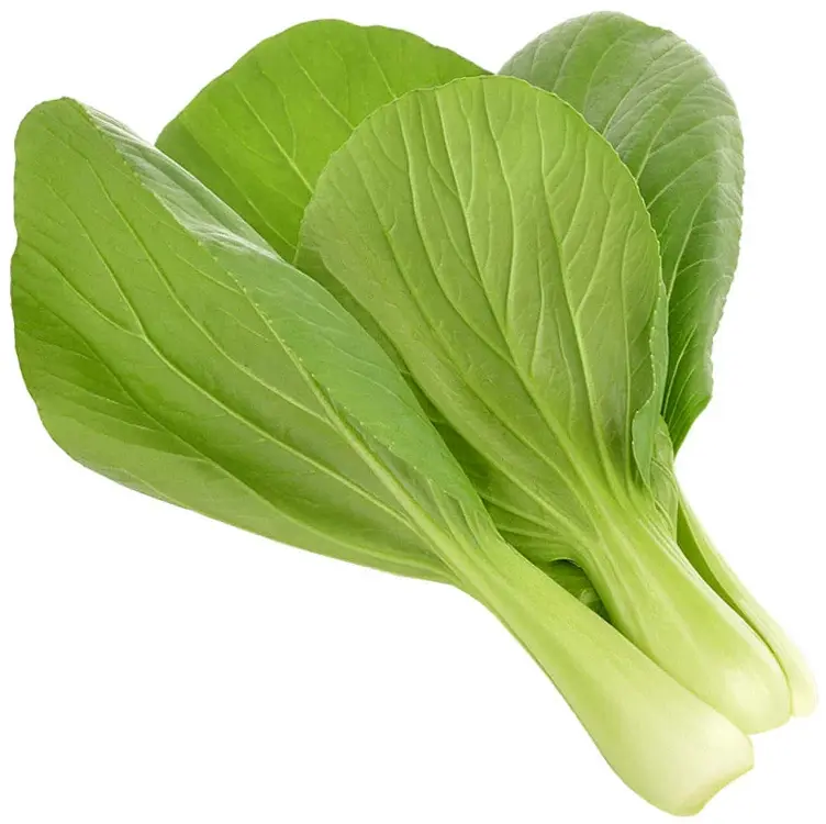 Змінний картридж Click and Grow Пак Чой 9131 - фото - №1