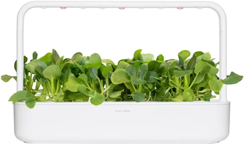 Змінний картридж Click and Grow Пак Чой 9131 - фото - №3