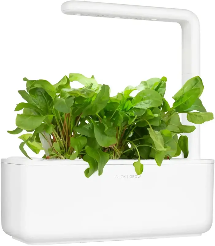 Змінний картридж Click and Grow Пак Чой 9131 - фото - №5