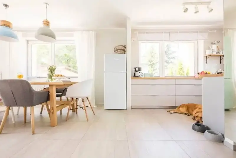 Холодильник TCL RF207TWE1UA - фото - №6