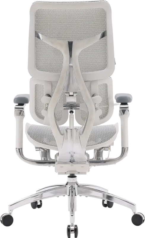 Крісло офісне Sihoo DORO S300 Mesh Light Grey - фото - №1