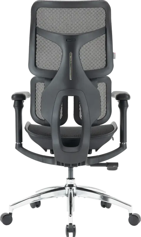 Крісло офісне Sihoo DORO S100 Mesh Black - фото - №1