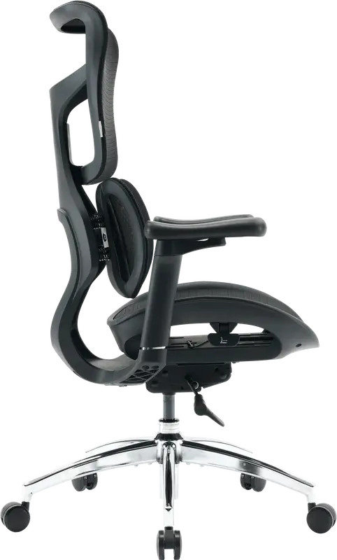 Крісло офісне Sihoo DORO S100 Mesh Black - фото - №2
