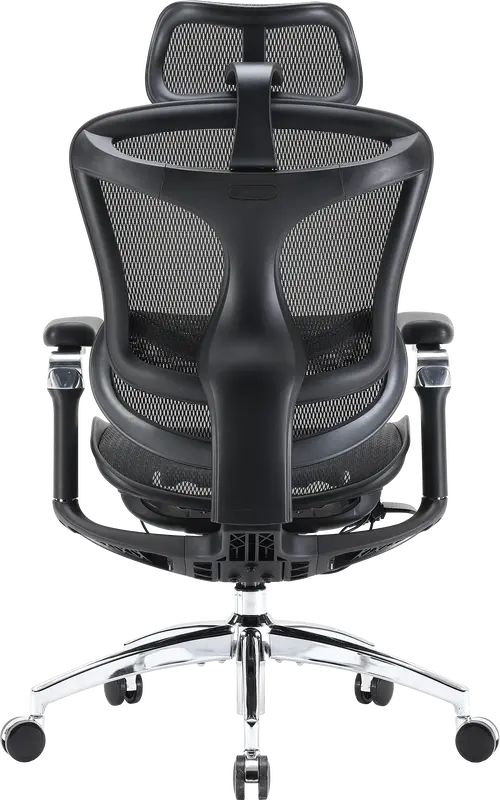 Кресло офисное Sihoo DORO C300 Pro Mesh Black ᐈ Купить Кресло