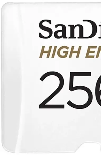 Карта пам'яті microSD SanDisk SDXC 256GB UHS-3 SDSQQNR-256G-GN6IA - фото - №2