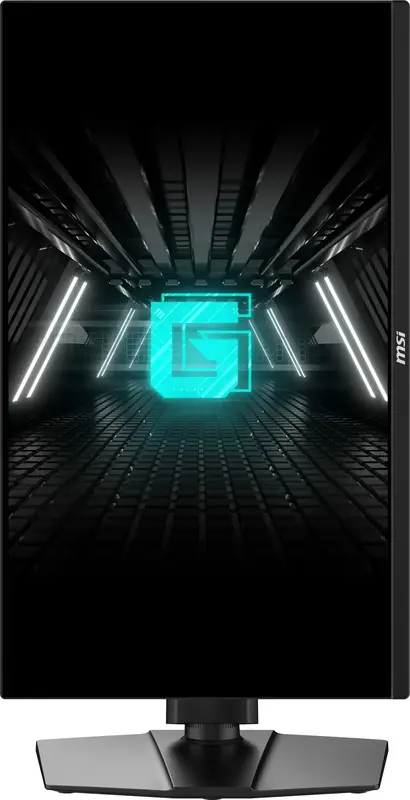 Монітор IPS 24.5" FHD (1920 x 1080) G255PF E2 - фото - №3