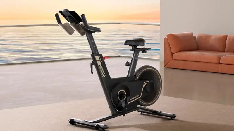 Велотренажер Kingsmith SPRINT BIKE PB08S Black - фото - №3