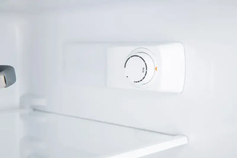 Холодильник Gorenje RF4142PW4 - фото - №6