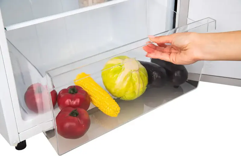 Холодильник Gorenje RF4142PW4 - фото - №7