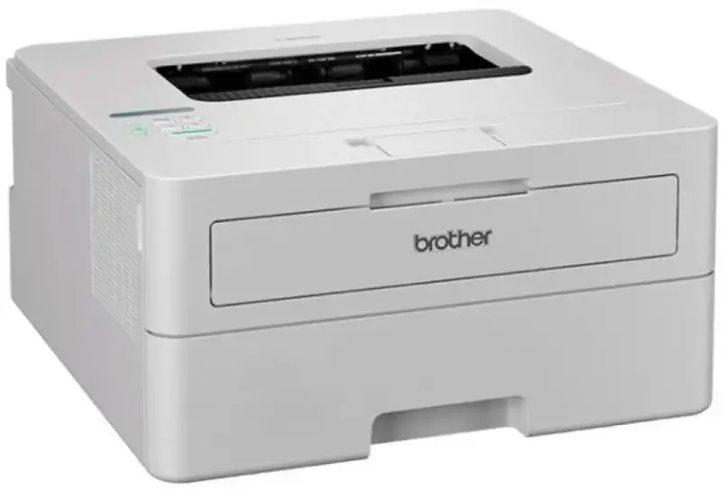 Принтер Brother HLB2180DWYJ1 - фото - №2