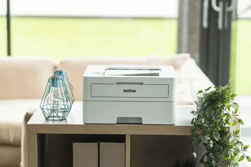 Принтер Brother HLB2180DWYJ1 - фото - №3