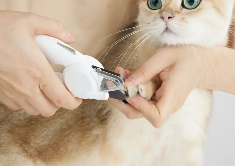 Кусачки PETKIT LED Pet Clipper PRO - фото - №7