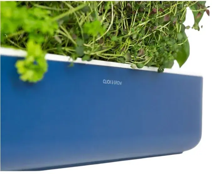 Стартовий набір Click and Grow синiй SG9S12UNI - фото - №3