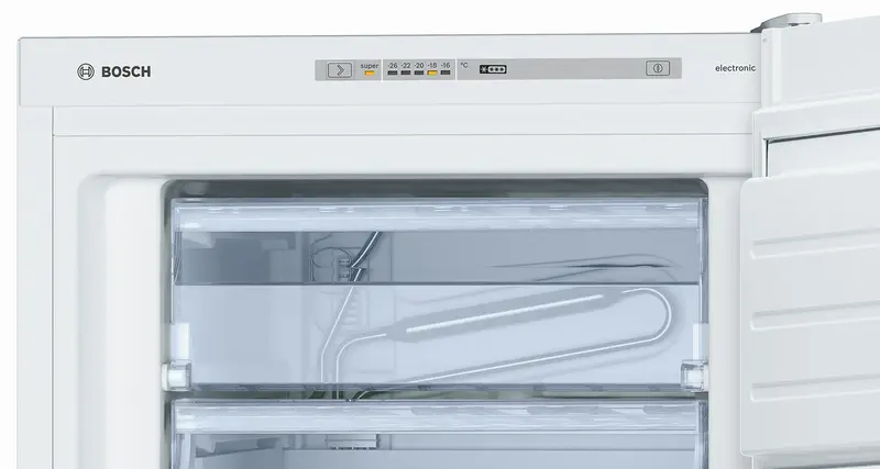 Морозильна камера BOSCH GSV24VWE0N - фото - №4